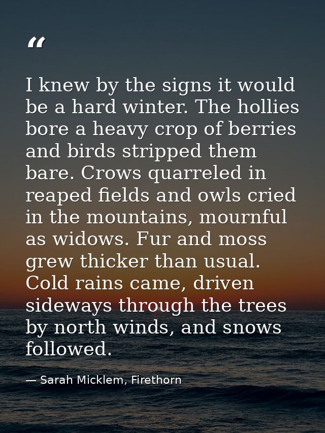 I knew by the signs it would be a hard winter. The hollies bore a heavy crop of berries and birds stripped them bare. Cr — Sarah Micklem, Firethorn