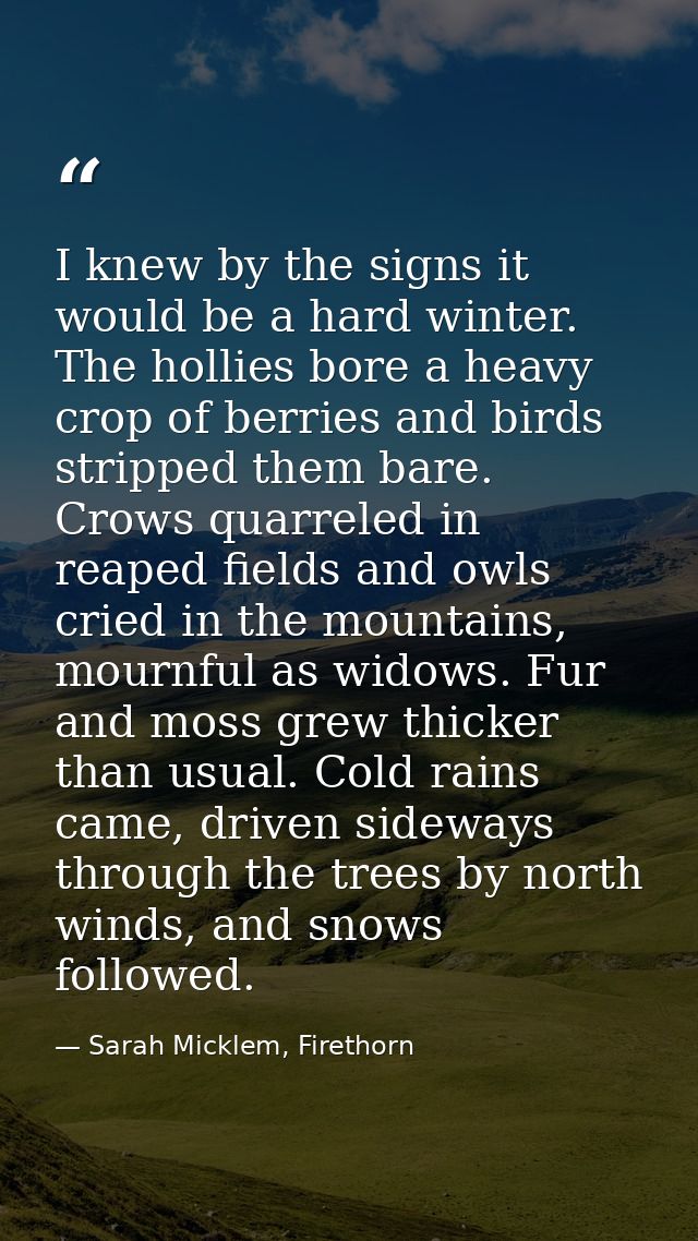 I knew by the signs it would be a hard winter. The hollies bore a heavy crop of berries and birds stripped them bare. Cr — Sarah Micklem, Firethorn