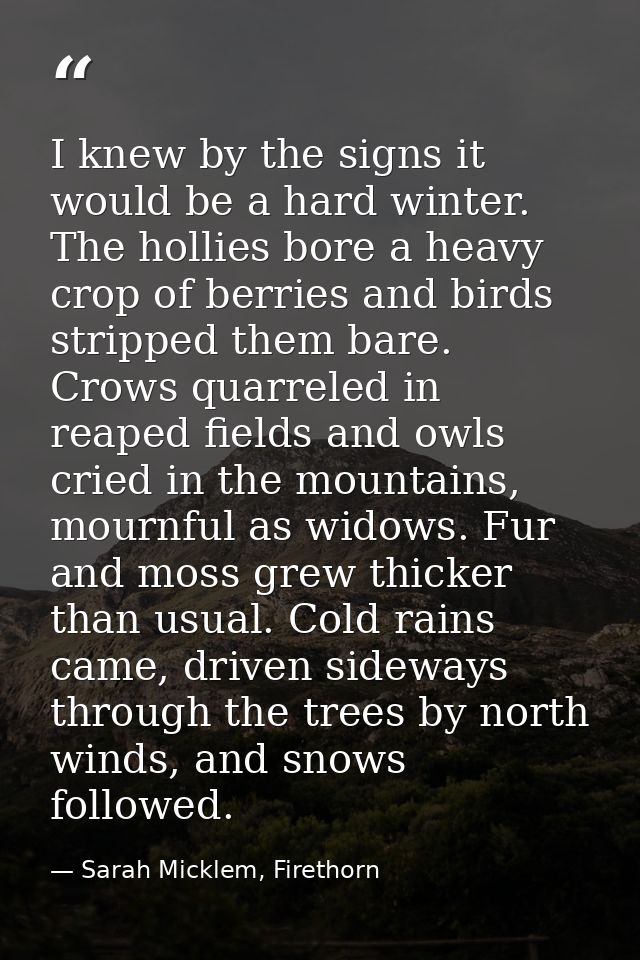 I knew by the signs it would be a hard winter. The hollies bore a heavy crop of berries and birds stripped them bare. Cr — Sarah Micklem, Firethorn
