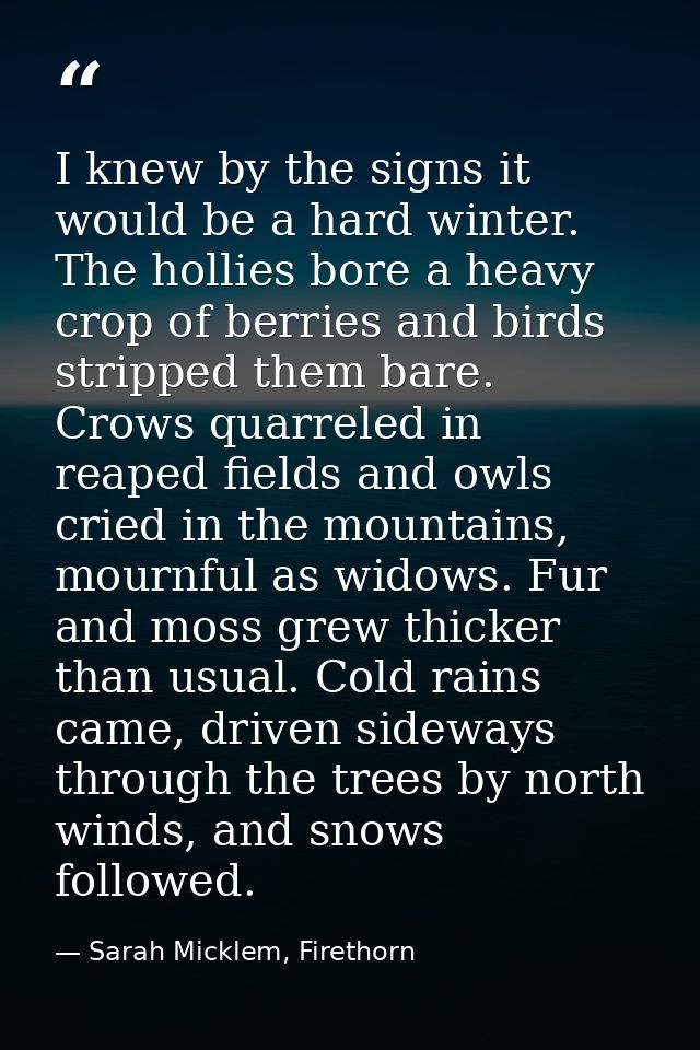 I knew by the signs it would be a hard winter. The hollies bore a heavy crop of berries and birds stripped them bare. Cr — Sarah Micklem, Firethorn