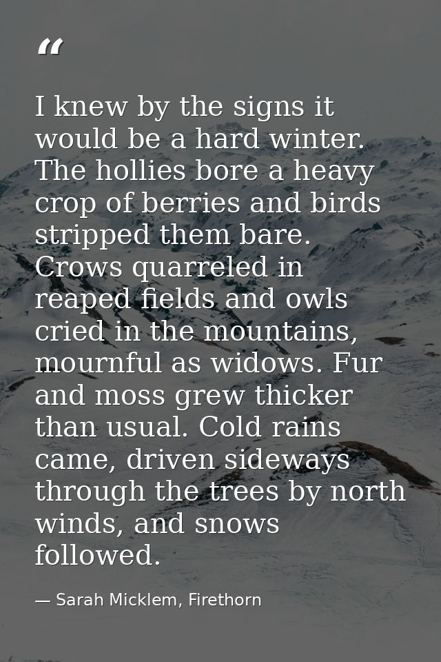 I knew by the signs it would be a hard winter. The hollies bore a heavy crop of berries and birds stripped them bare. Cr — Sarah Micklem, Firethorn