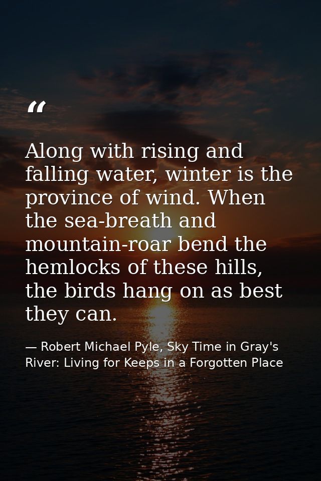 Along with rising and falling water, winter is the province of wind. When the sea-breath and mountain-roar bend the heml — Robert Michael Pyle, Sky Time in Gray's River: Living for Keeps in a Forgotten Place