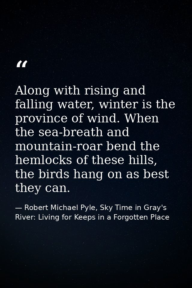 Along with rising and falling water, winter is the province of wind. When the sea-breath and mountain-roar bend the heml — Robert Michael Pyle, Sky Time in Gray's River: Living for Keeps in a Forgotten Place