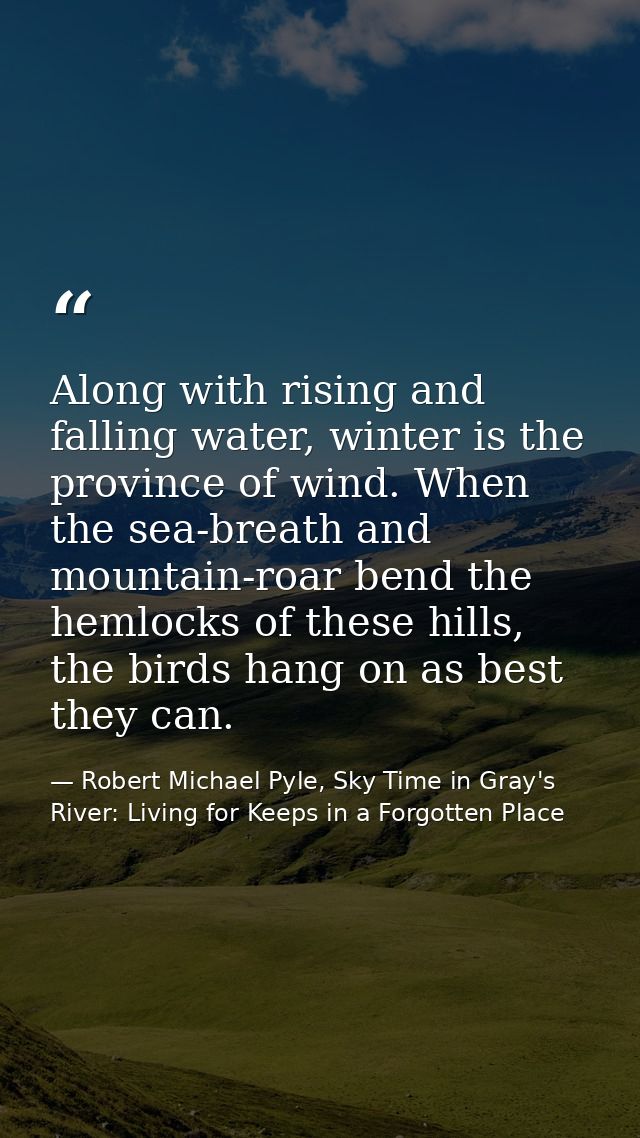Along with rising and falling water, winter is the province of wind. When the sea-breath and mountain-roar bend the heml — Robert Michael Pyle, Sky Time in Gray's River: Living for Keeps in a Forgotten Place