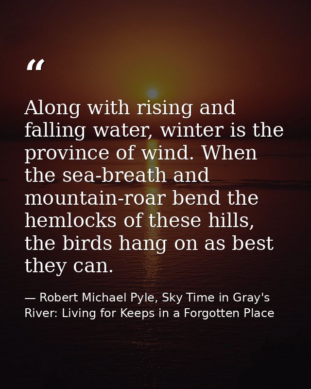Along with rising and falling water, winter is the province of wind. When the sea-breath and mountain-roar bend the heml — Robert Michael Pyle, Sky Time in Gray's River: Living for Keeps in a Forgotten Place