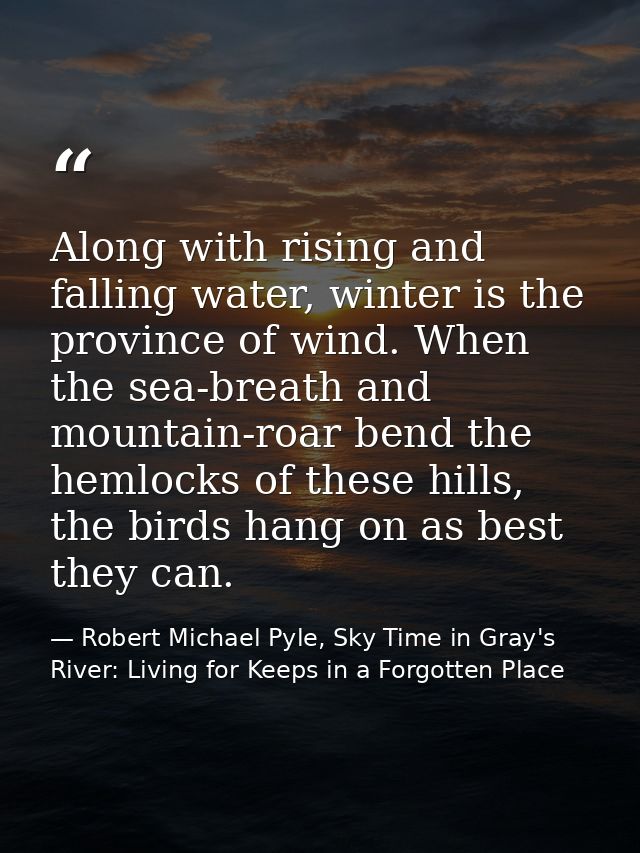 Along with rising and falling water, winter is the province of wind. When the sea-breath and mountain-roar bend the heml — Robert Michael Pyle, Sky Time in Gray's River: Living for Keeps in a Forgotten Place