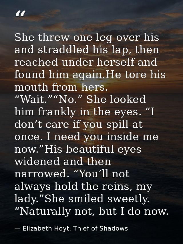 She threw one leg over his and straddled his lap, then reached under herself and found him again.He tore his mouth from  — Elizabeth Hoyt, Thief of Shadows