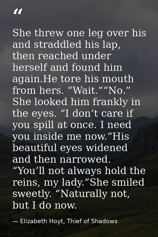 She threw one leg over his and straddled his lap, then reached under herself and found him again.He tore his mouth from  — Elizabeth Hoyt, Thief of Shadows