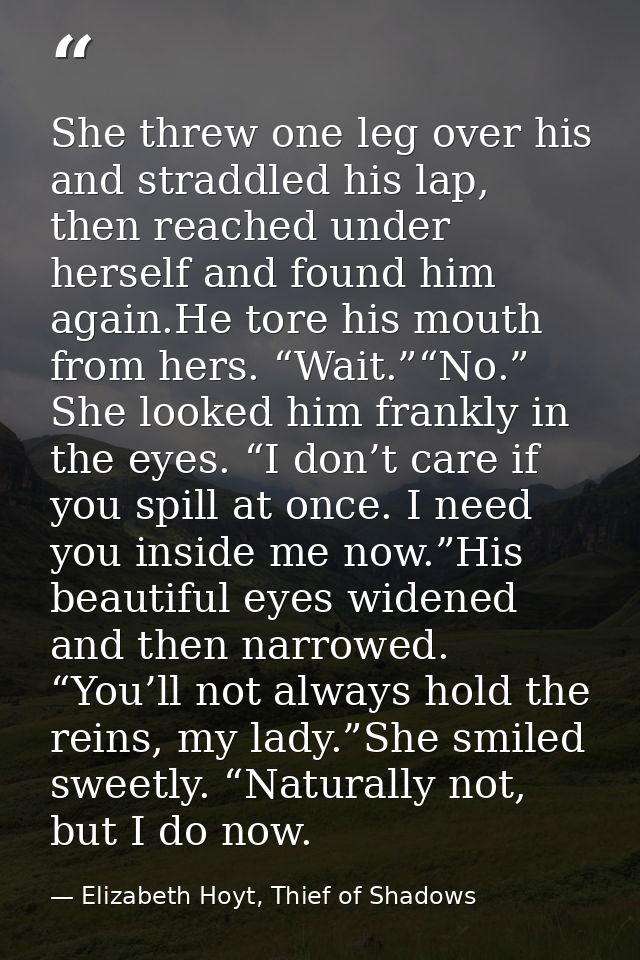 She threw one leg over his and straddled his lap, then reached under herself and found him again.He tore his mouth from  — Elizabeth Hoyt, Thief of Shadows