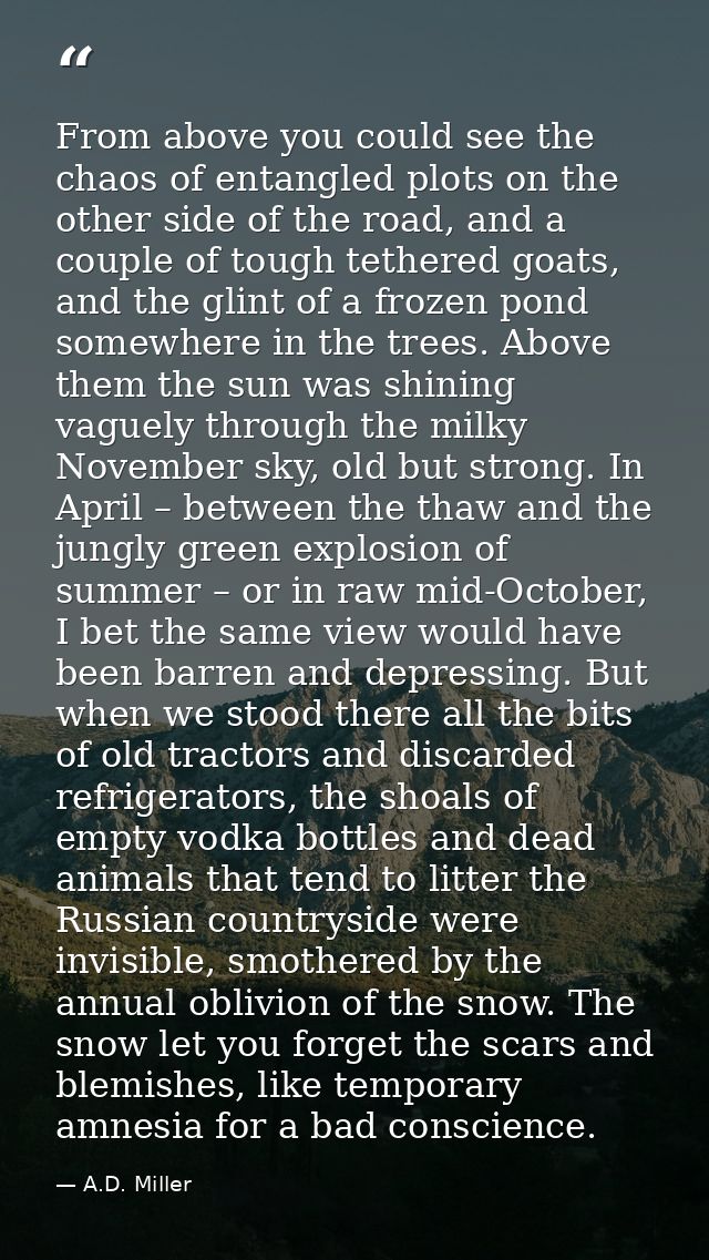 From above you could see the chaos of entangled plots on the other side of the road, and a couple of tough tethered goat — A.D. Miller