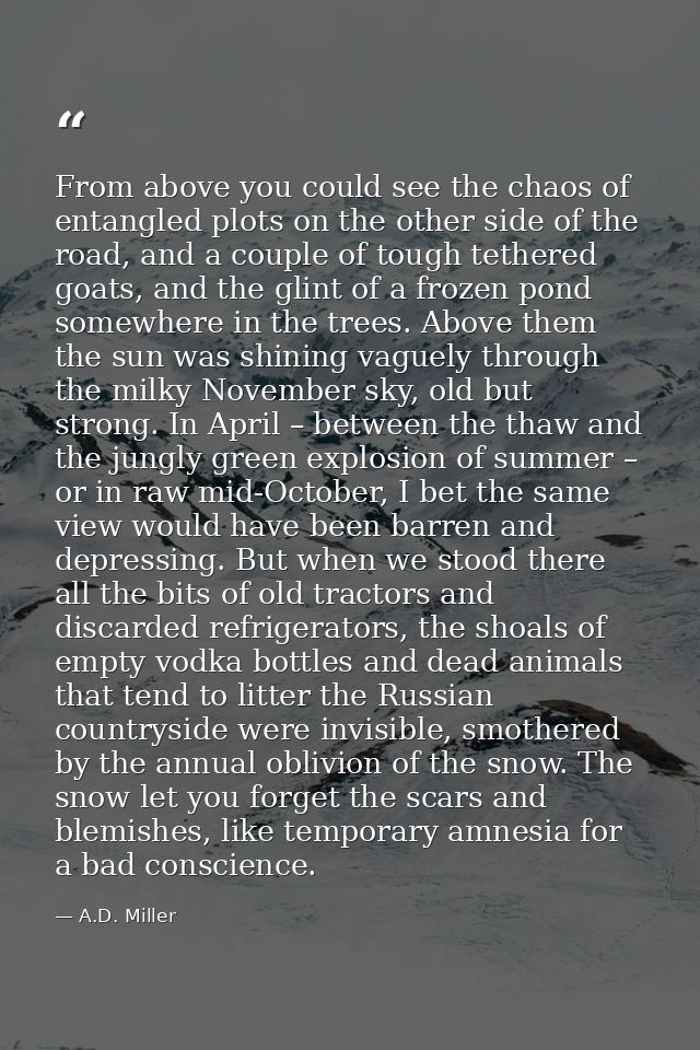 From above you could see the chaos of entangled plots on the other side of the road, and a couple of tough tethered goat — A.D. Miller