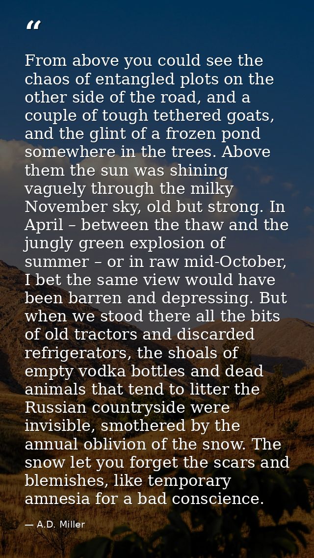 From above you could see the chaos of entangled plots on the other side of the road, and a couple of tough tethered goat — A.D. Miller