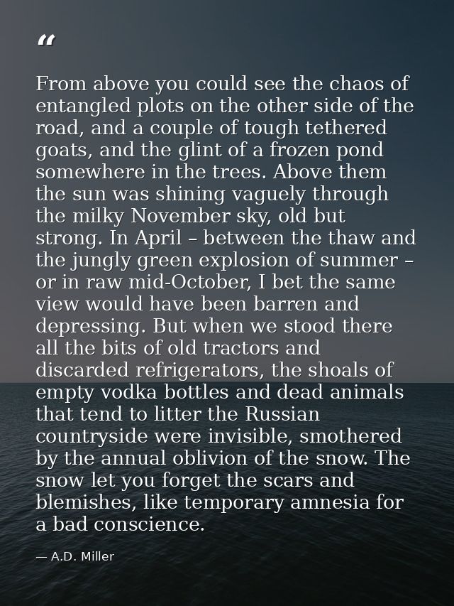 From above you could see the chaos of entangled plots on the other side of the road, and a couple of tough tethered goat — A.D. Miller