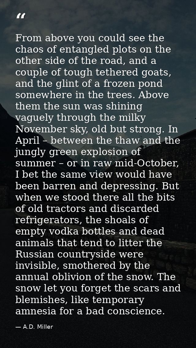From above you could see the chaos of entangled plots on the other side of the road, and a couple of tough tethered goat — A.D. Miller
