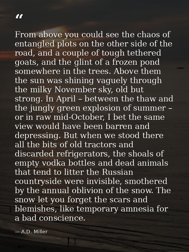 From above you could see the chaos of entangled plots on the other side of the road, and a couple of tough tethered goat — A.D. Miller