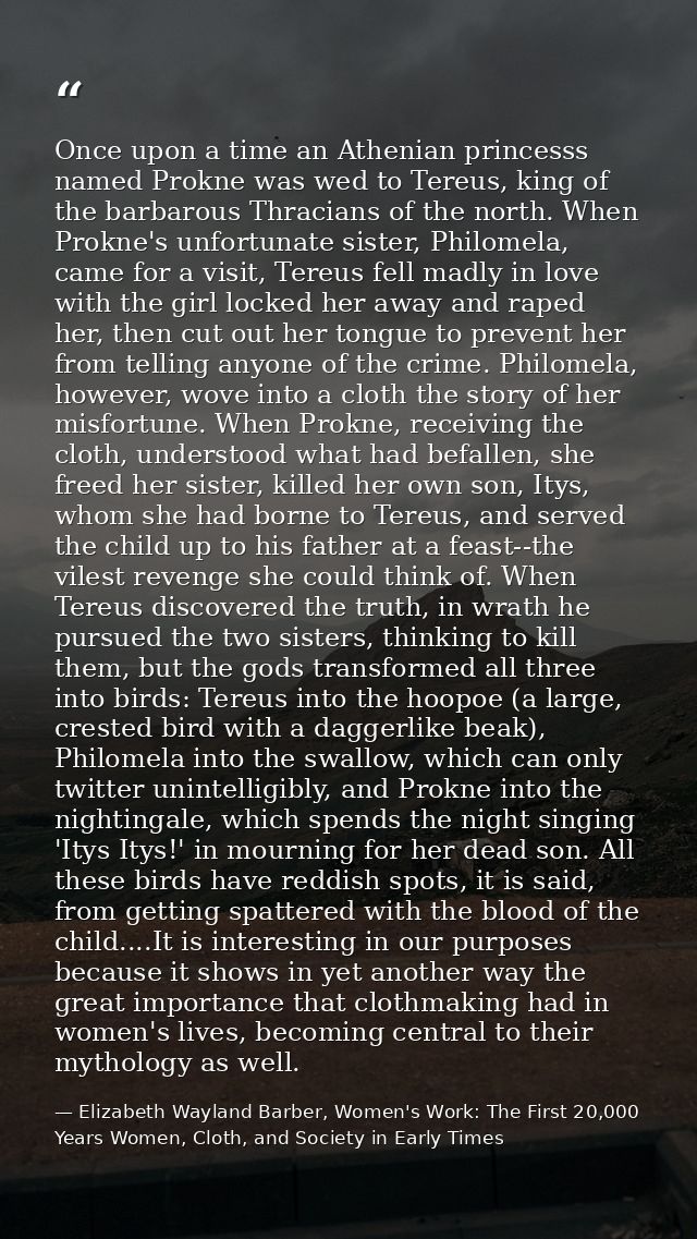 Once upon a time an Athenian princesss named Prokne was wed to Tereus, king of the barbarous Thracians of the north. Whe — Elizabeth Wayland Barber, Women's Work: The First 20,000 Years Women, Cloth, and Society in Early Times