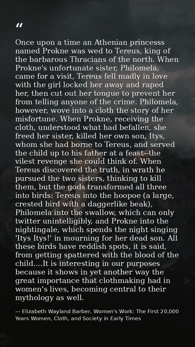 Once upon a time an Athenian princesss named Prokne was wed to Tereus, king of the barbarous Thracians of the north. Whe — Elizabeth Wayland Barber, Women's Work: The First 20,000 Years Women, Cloth, and Society in Early Times