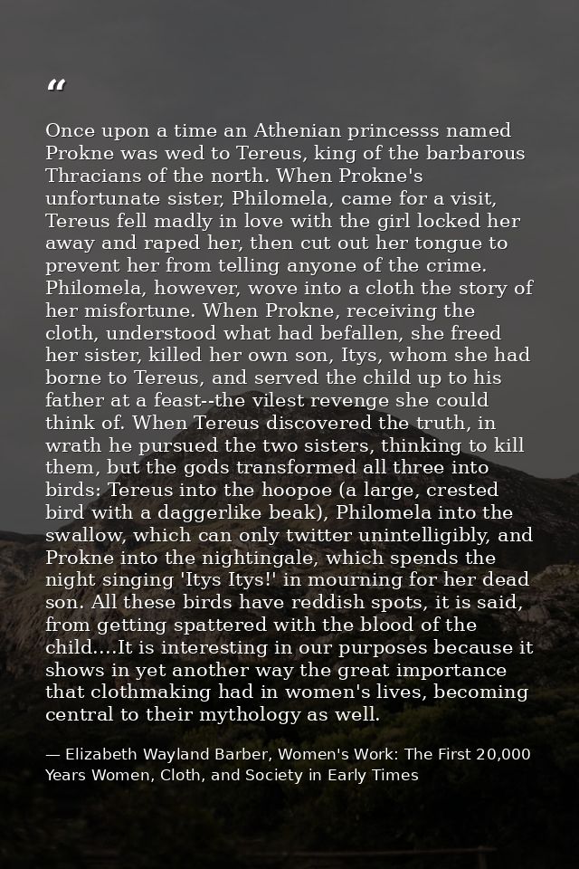 Once upon a time an Athenian princesss named Prokne was wed to Tereus, king of the barbarous Thracians of the north. Whe — Elizabeth Wayland Barber, Women's Work: The First 20,000 Years Women, Cloth, and Society in Early Times