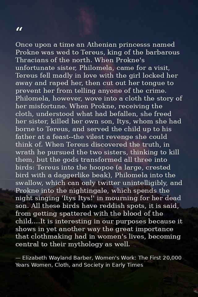 Once upon a time an Athenian princesss named Prokne was wed to Tereus, king of the barbarous Thracians of the north. Whe — Elizabeth Wayland Barber, Women's Work: The First 20,000 Years Women, Cloth, and Society in Early Times