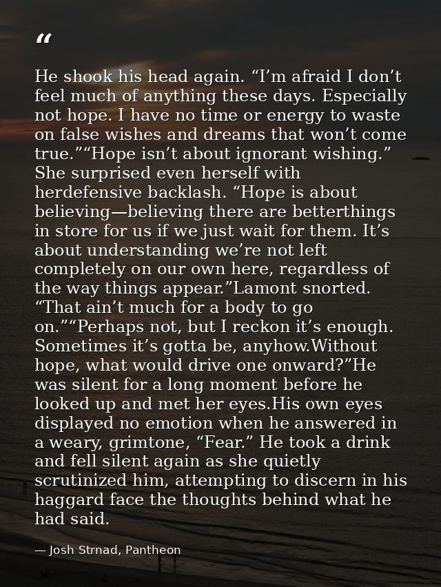 He shook his head again. “I’m afraid I don’t feel much of anything these days. Especially not hope. I have no time or en — Josh Strnad, Pantheon