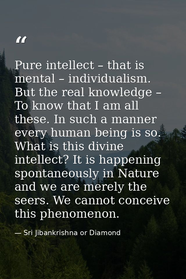 Pure intellect – that is mental – individualism. But the real knowledge – To know that I am all these. In such a manner  — Sri Jibankrishna or Diamond