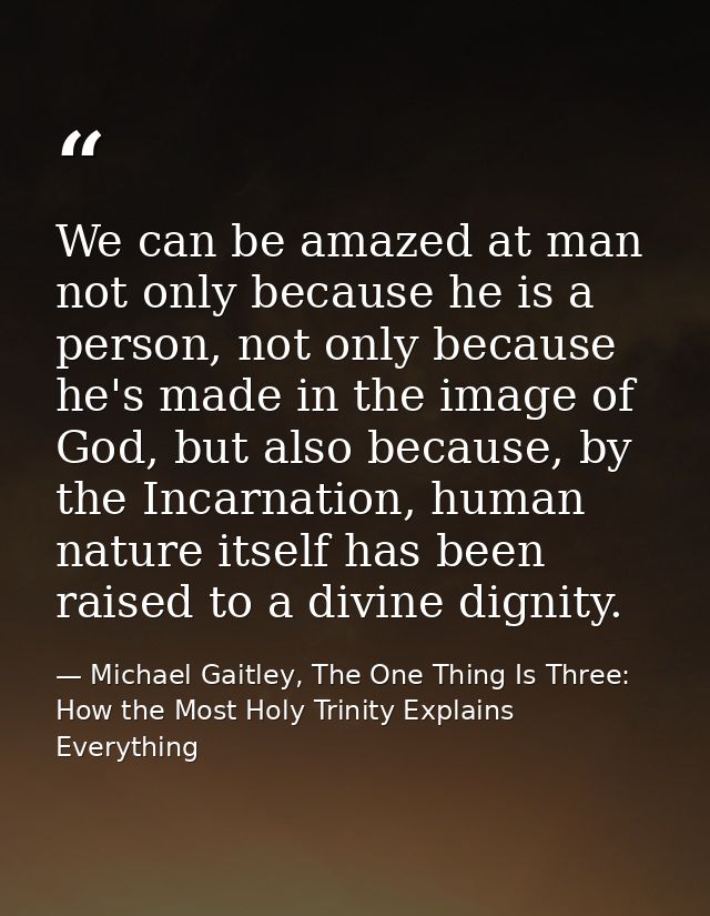 We can be amazed at man not only because he is a person, not only because he's made in the image of God, but also becaus — Michael Gaitley, The One Thing Is Three: How the Most Holy Trinity Explains Everything