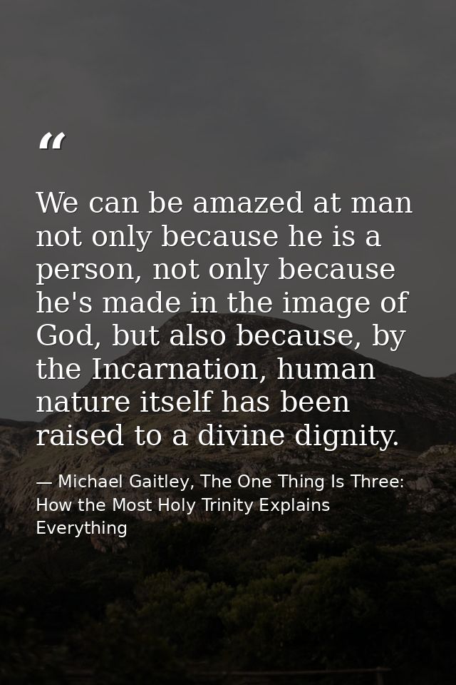 We can be amazed at man not only because he is a person, not only because he's made in the image of God, but also becaus — Michael Gaitley, The One Thing Is Three: How the Most Holy Trinity Explains Everything