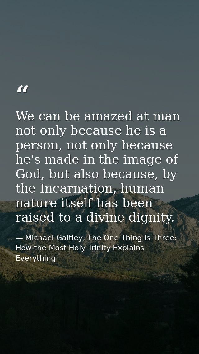 We can be amazed at man not only because he is a person, not only because he's made in the image of God, but also becaus — Michael Gaitley, The One Thing Is Three: How the Most Holy Trinity Explains Everything