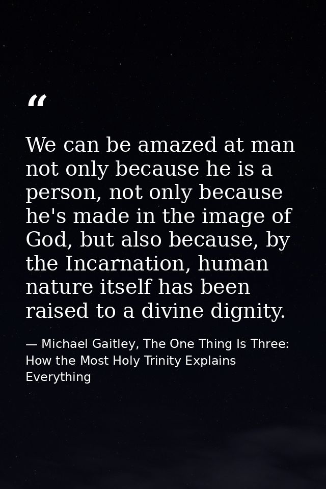 We can be amazed at man not only because he is a person, not only because he's made in the image of God, but also becaus — Michael Gaitley, The One Thing Is Three: How the Most Holy Trinity Explains Everything