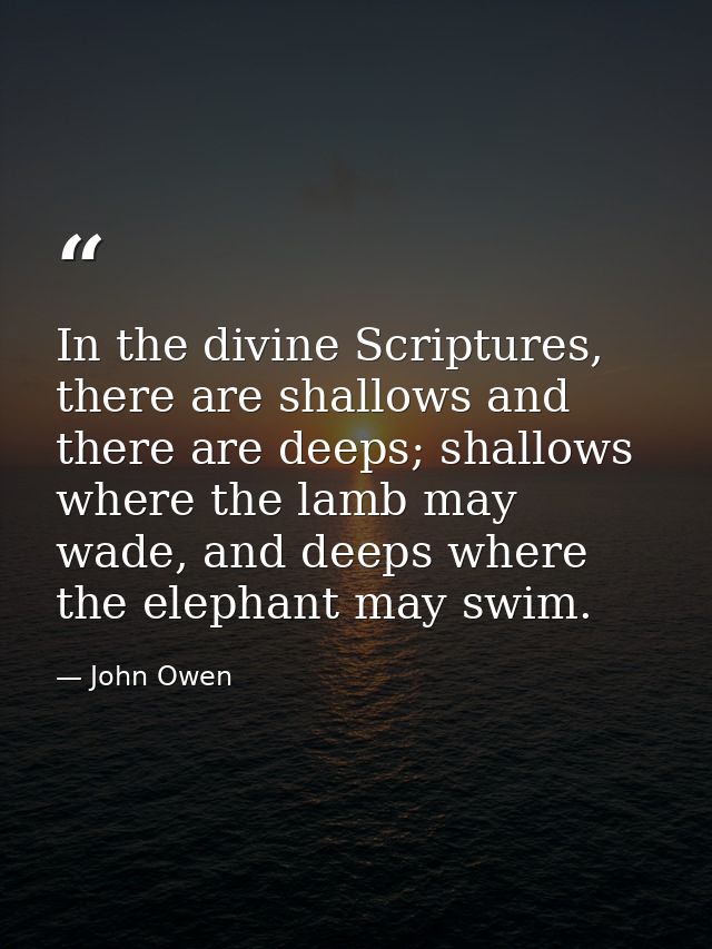 In the divine Scriptures, there are shallows and there are deeps; shallows where the lamb may wade, and deeps where the  — John Owen