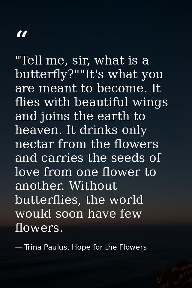 ‎"Tell me, sir, what is a butterfly?""It's what you are meant to become. It flies with beautiful wings and joins the ear — Trina Paulus, Hope for the Flowers