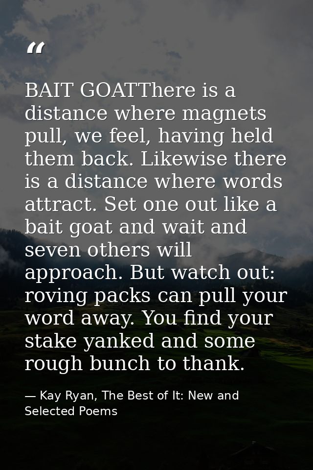 BAIT GOATThere is a distance where magnets pull, we feel, having held them back. Likewise there is a distance where word — Kay Ryan, The Best of It: New and Selected Poems
