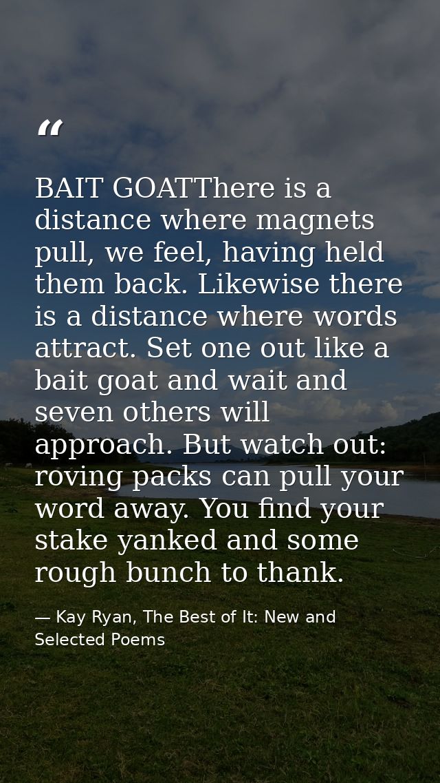 BAIT GOATThere is a distance where magnets pull, we feel, having held them back. Likewise there is a distance where word — Kay Ryan, The Best of It: New and Selected Poems