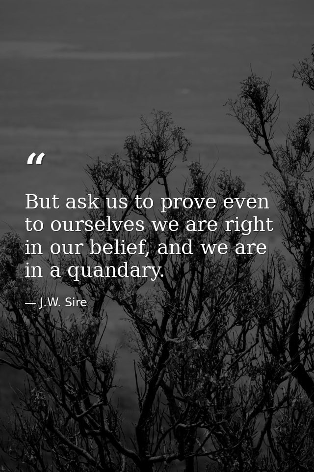 But ask us to prove even to ourselves we are right in our belief, and we are in a quandary. — J.W. Sire