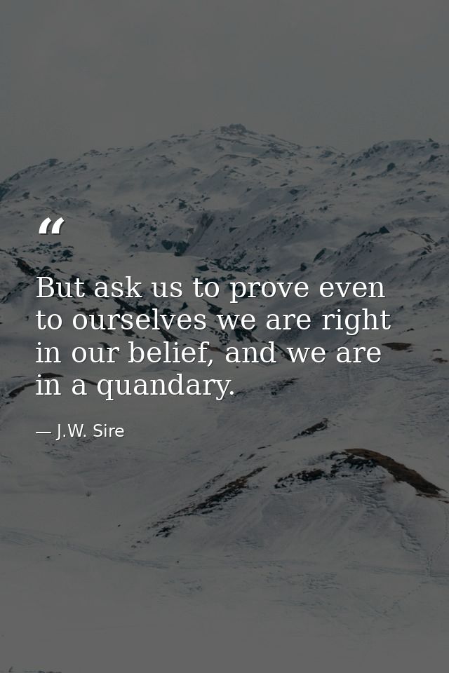 But ask us to prove even to ourselves we are right in our belief, and we are in a quandary. — J.W. Sire