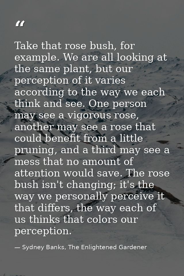 Take that rose bush, for example. We are all looking at the same plant, but our perception of it varies according to the — Sydney Banks, The Enlightened Gardener