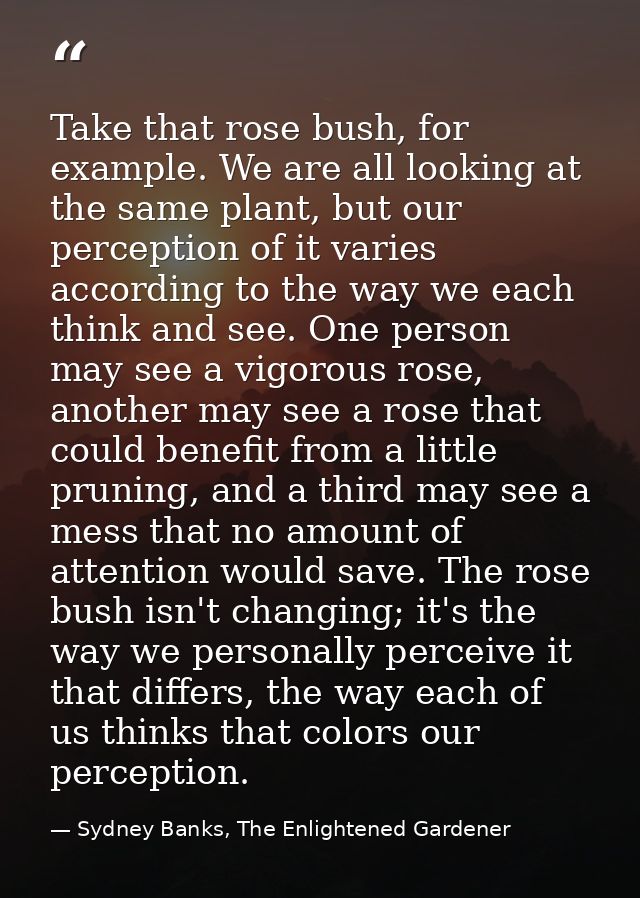 Take that rose bush, for example. We are all looking at the same plant, but our perception of it varies according to the — Sydney Banks, The Enlightened Gardener