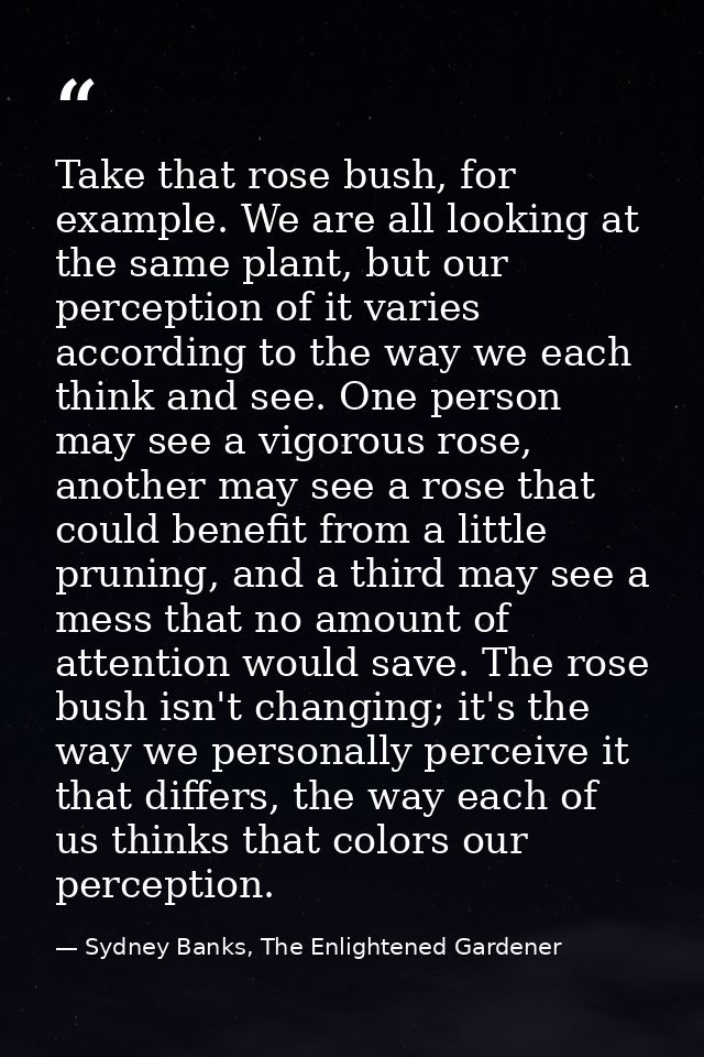 Take that rose bush, for example. We are all looking at the same plant, but our perception of it varies according to the — Sydney Banks, The Enlightened Gardener