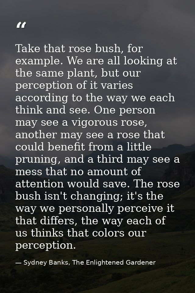 Take that rose bush, for example. We are all looking at the same plant, but our perception of it varies according to the — Sydney Banks, The Enlightened Gardener