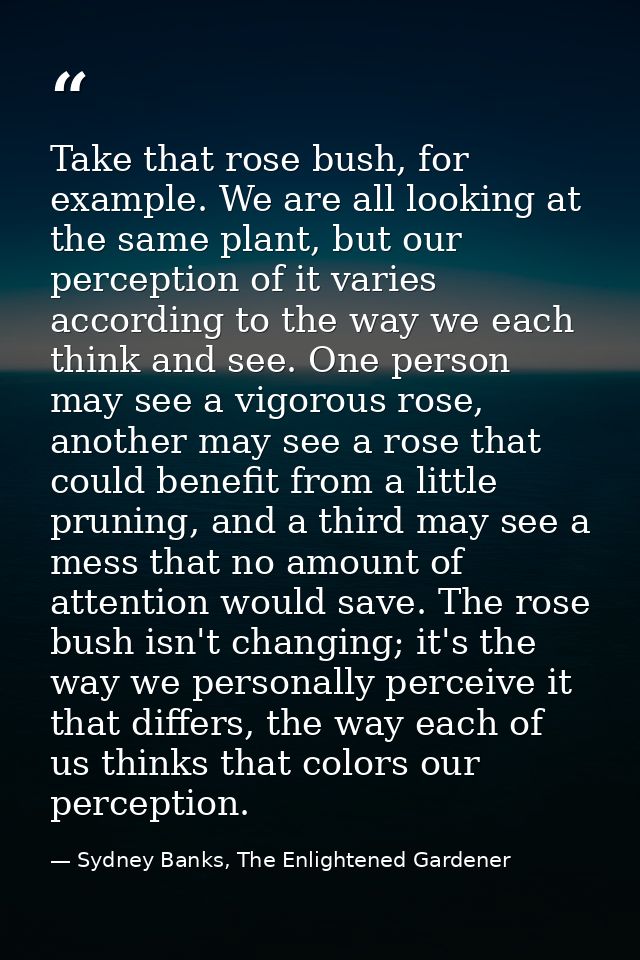 Take that rose bush, for example. We are all looking at the same plant, but our perception of it varies according to the — Sydney Banks, The Enlightened Gardener