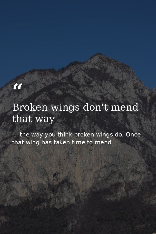 Broken wings don't mend that way — the way you think broken wings do. Once that wing has taken time to mend