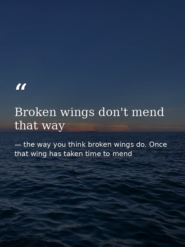 Broken wings don't mend that way — the way you think broken wings do. Once that wing has taken time to mend