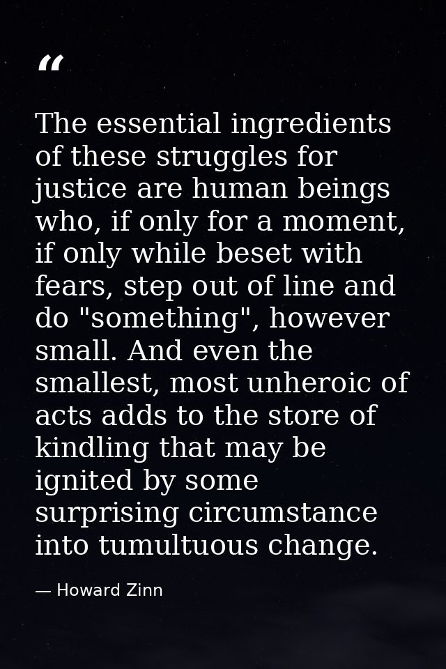 The essential ingredients of these struggles for justice are human beings who, if only for a moment, if only while beset — Howard Zinn