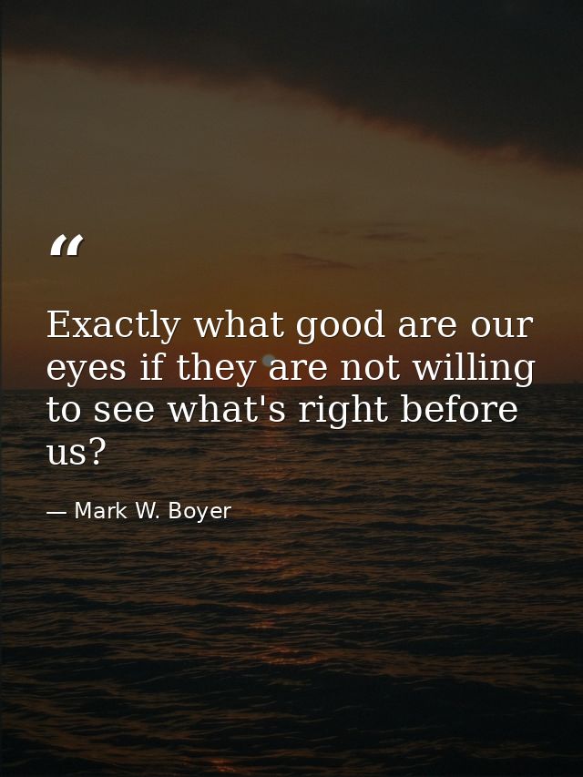 Exactly what good are our eyes if they are not willing to see what's right before us? — Mark W. Boyer