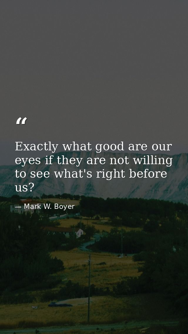 Exactly what good are our eyes if they are not willing to see what's right before us? — Mark W. Boyer
