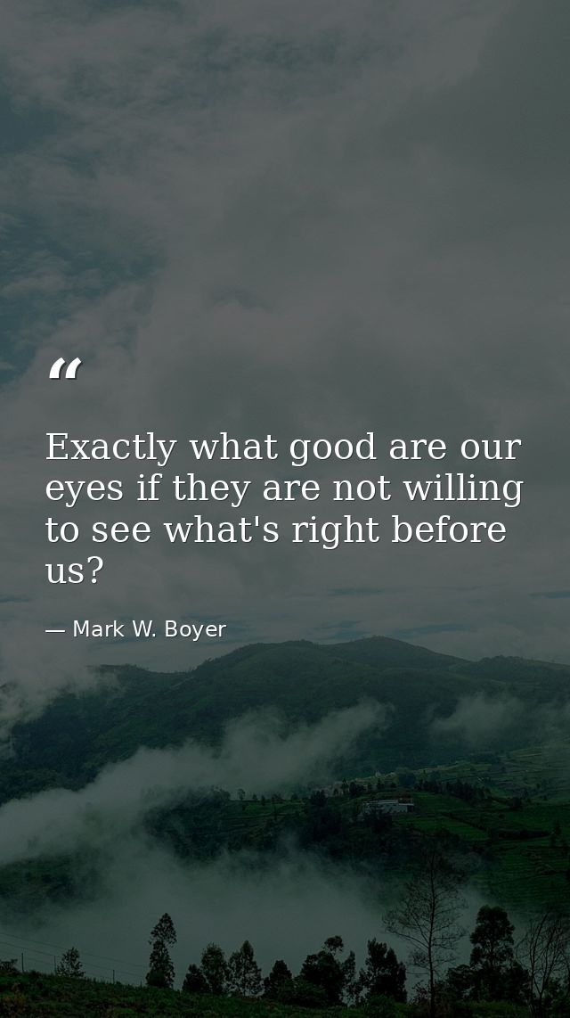Exactly what good are our eyes if they are not willing to see what's right before us? — Mark W. Boyer