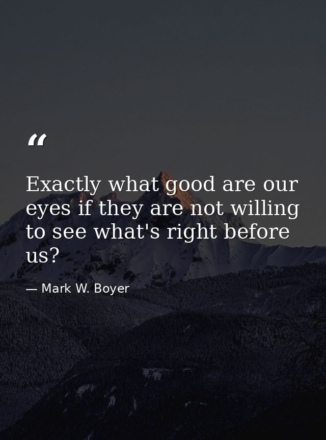 Exactly what good are our eyes if they are not willing to see what's right before us? — Mark W. Boyer