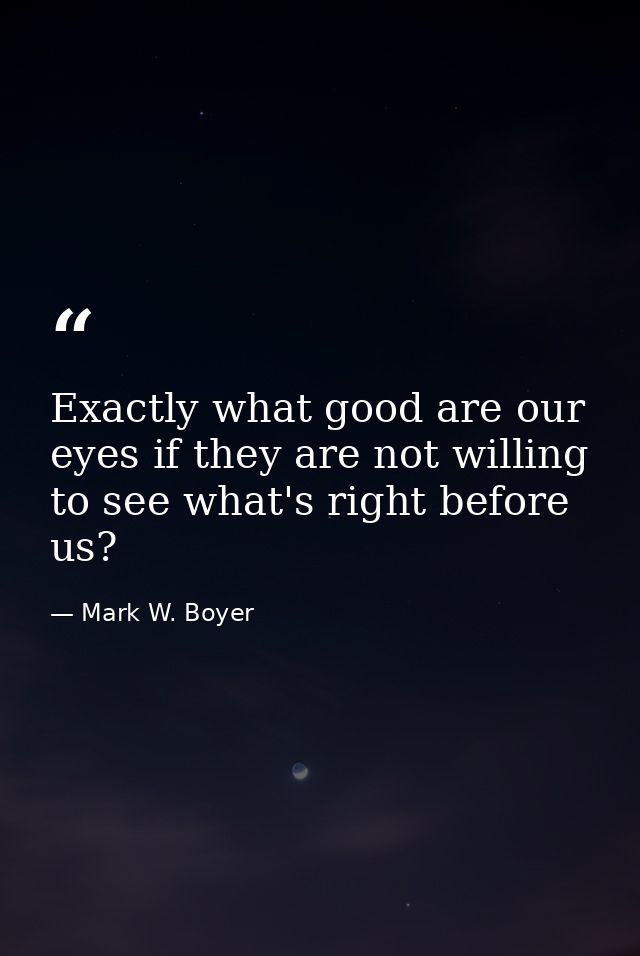 Exactly what good are our eyes if they are not willing to see what's right before us? — Mark W. Boyer