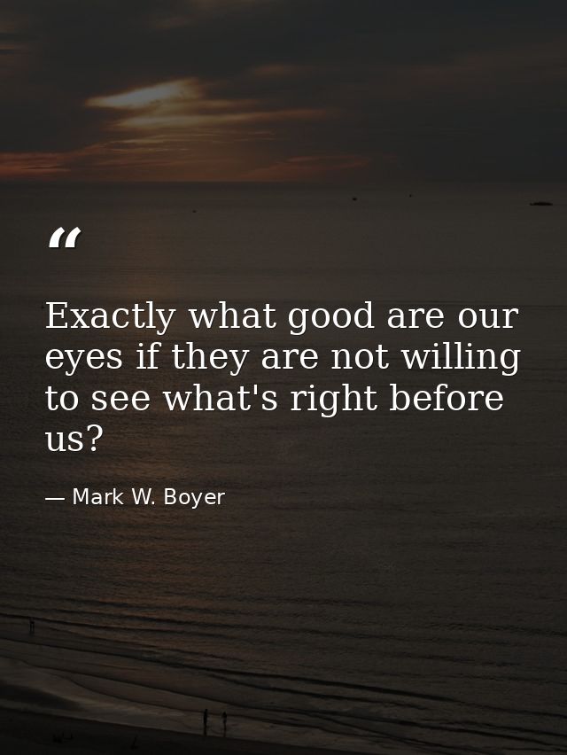 Exactly what good are our eyes if they are not willing to see what's right before us? — Mark W. Boyer
