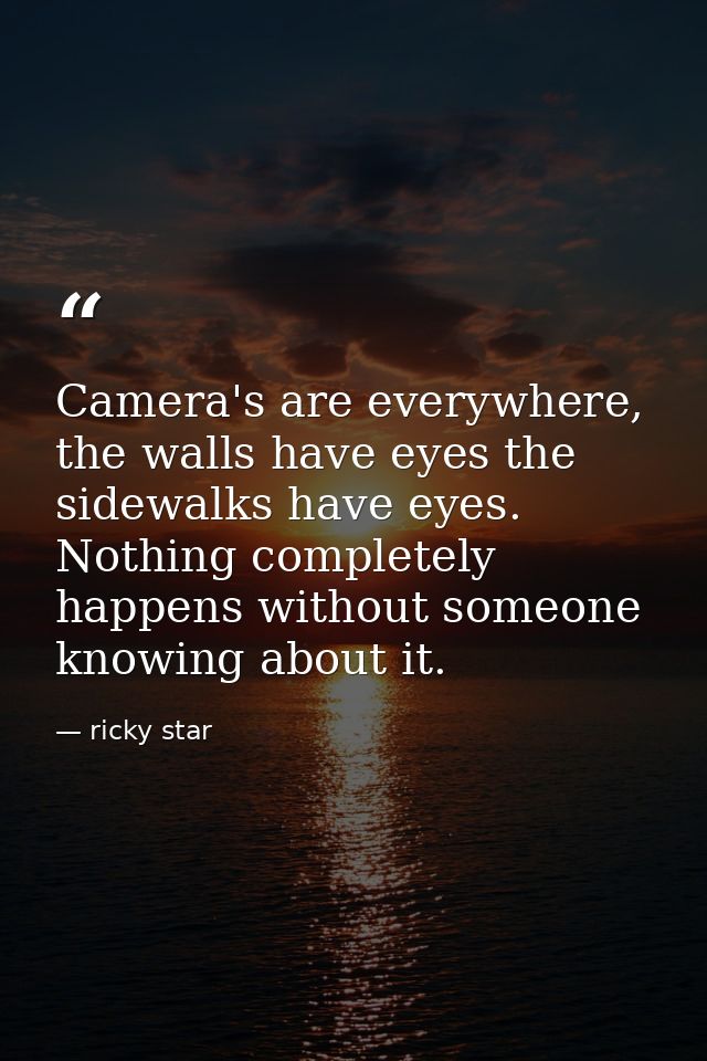 Camera's are everywhere, the walls have eyes the sidewalks have eyes. Nothing completely happens without someone knowing — ricky star